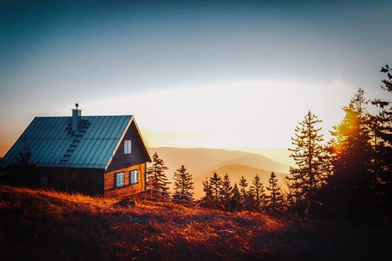 14 EPIC Airbnbs in Georgia (Treehouses, Cabins + More)