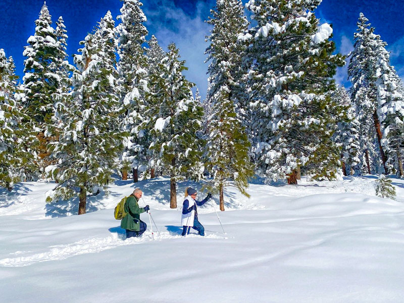 Experience a winter wonderland at The Tahoe Adventure Company: Gliding on frozen lakes with breathtaking mountain views.