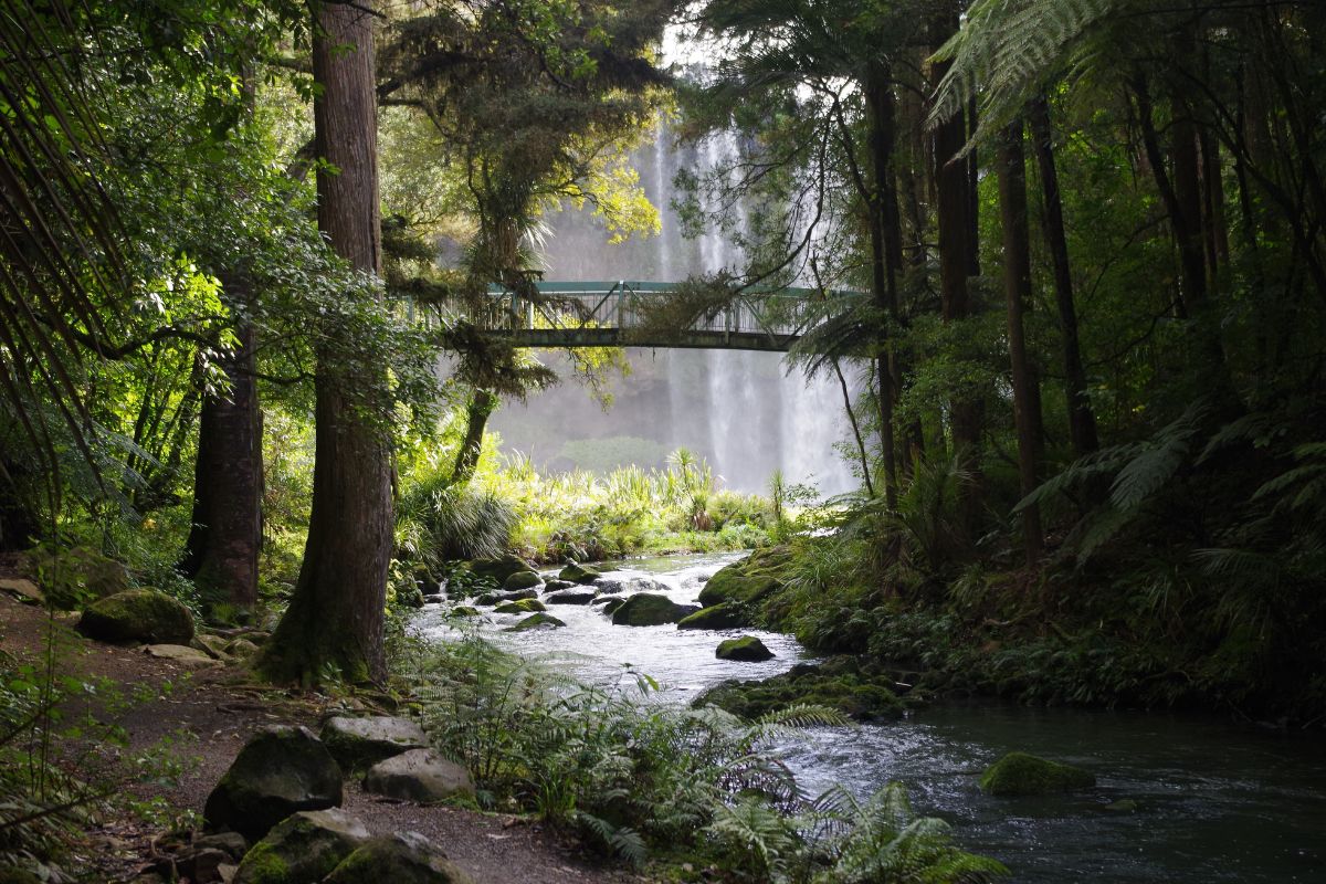 9 CHEAPEST Airports to Fly Into New Zealand in 2025 Global Viewpoint