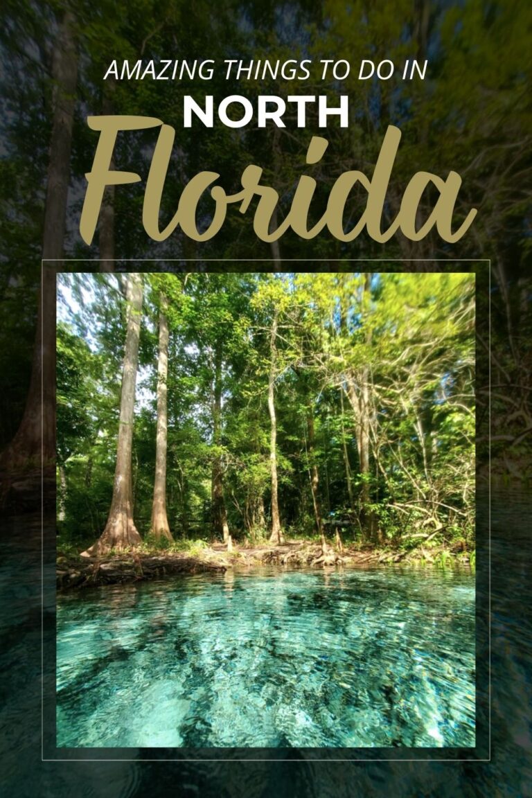 12 Amazing Things to Do in Northern Florida - Global Viewpoint