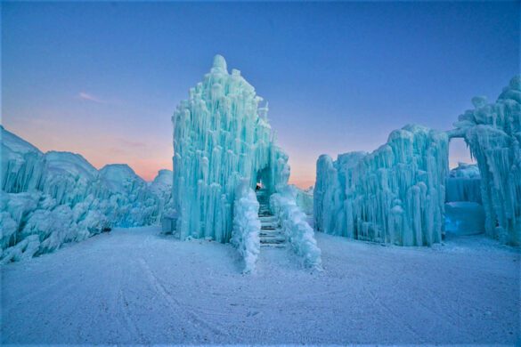 12 Iconic Edmonton Attractions & Activities in Winter to Add to Your ...