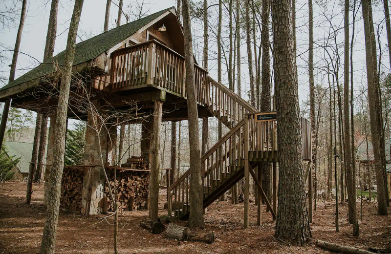 Luxury Glamping at Treehouse North Carolina