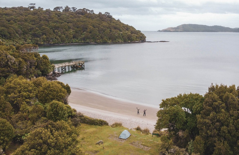 Rakiura Track Stewart Island New Zealand